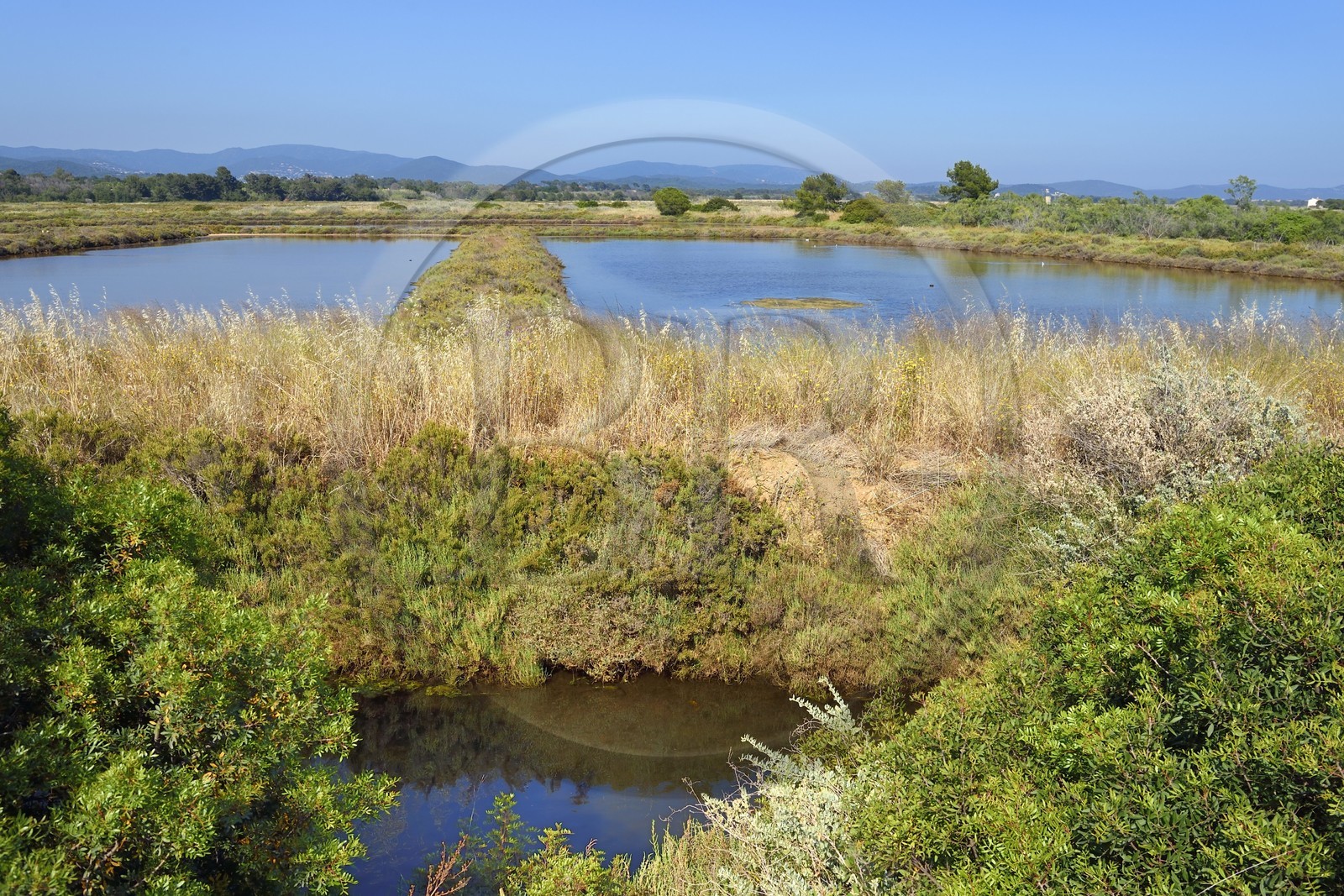 France, Var (83), Hyères, Conservatoire du littoral, les Vieux Salins (marais salants)