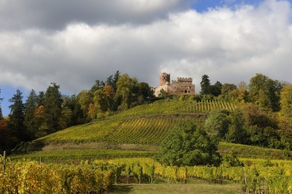 France, Bas-Rhin (67), château de Kintzheim et son vignoble
