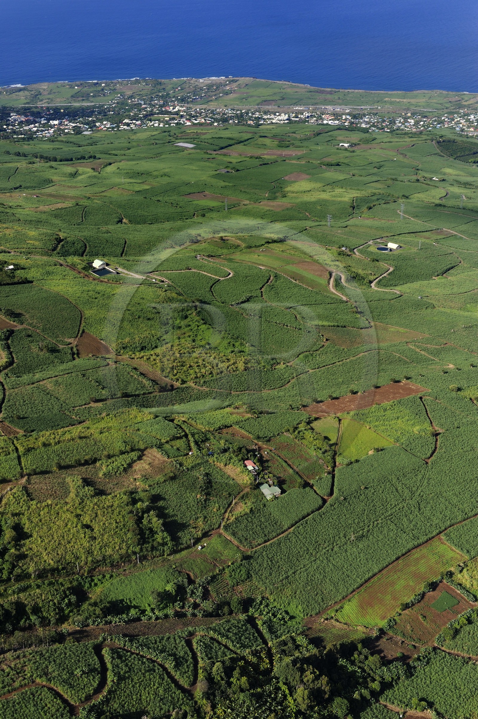 France, Ile de la Reunion, Cote ouest, les champs de cannes à sucre sur les pentes du Tevelave au dessus de piton Saint Leu (vue aérienne)