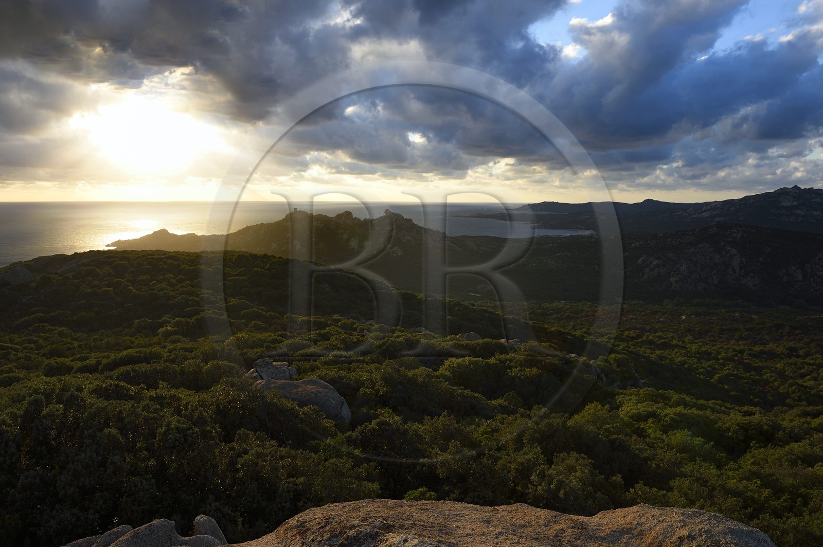 France, Corse-du-Sud (2A), le site naturel de Cala de Roccapina, la tour génoise et le rocher du Lion