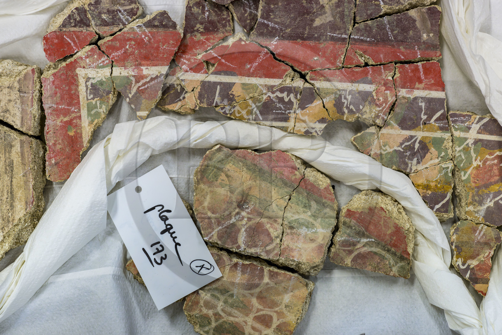 France, Bouches-du-Rhône (13), Arles, musée départemental Arles antique, salle d’étude du service archéologie, recherches des fouilles du site de l'ancienne verrerie de Trinquetaille sur la rive droite du Rhone, maison de la harpiste (entre 70 et 50 av. J.-C.), fragments de la peinture murale à fresque du décor de la pièce du rez-de-chaussée adoptant du rouge vermillon avec le pigment le Cinabre le plus couteux du monde romain