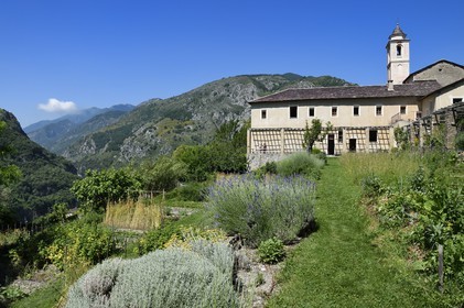 France, Alpes-Maritimes (06), vallée de la Roya (arrière-pays niçois), au pied du parc national du Mercantour, Saorge, le monastère de Saorge (Centre des monuments nationaux) ancien Couvent Franciscain Notre-Dame-des-Miracles, le jardin et le potager