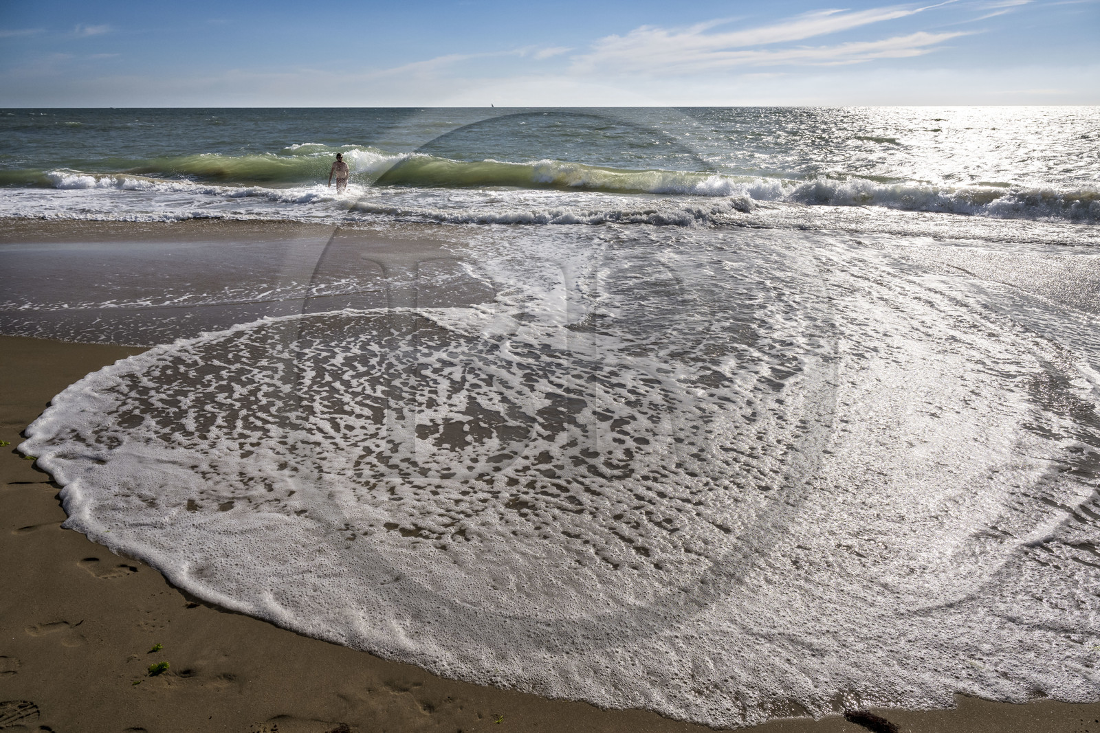 France, Vendée (85), Talmont-Saint-Hilaire, la Pointe du Payré, plage du Veillon