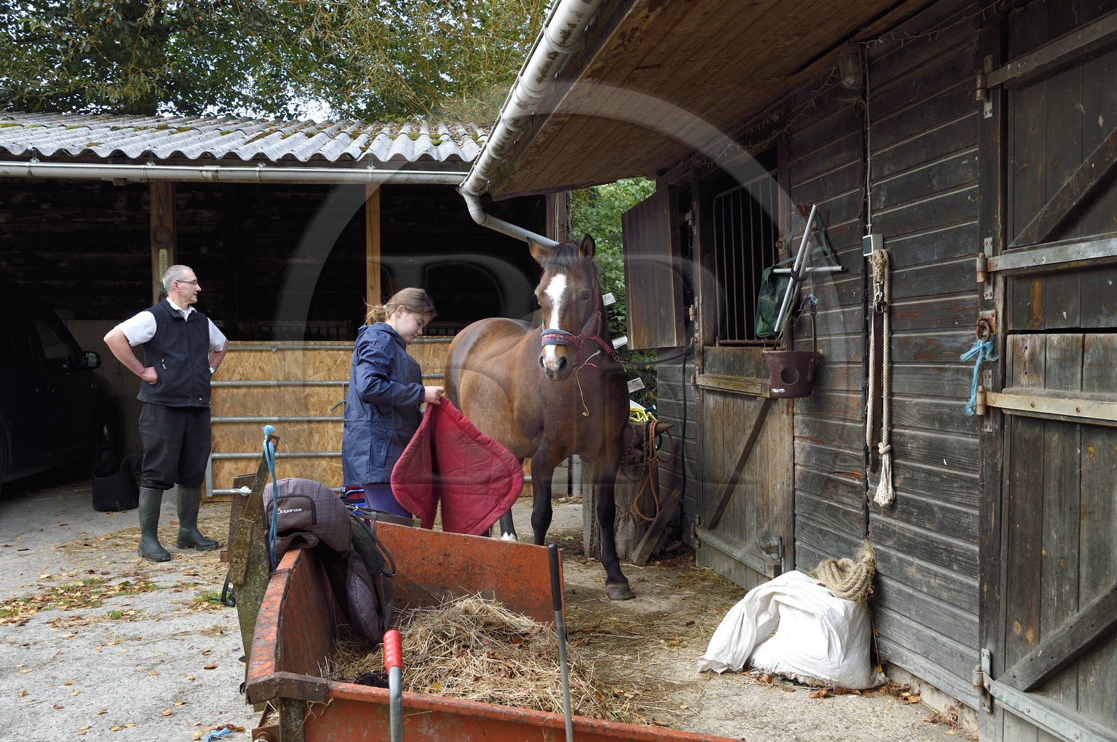 France, Calvados, Pays d'Auge, La Roque Baignard, stable of Franz and Claire Gerl