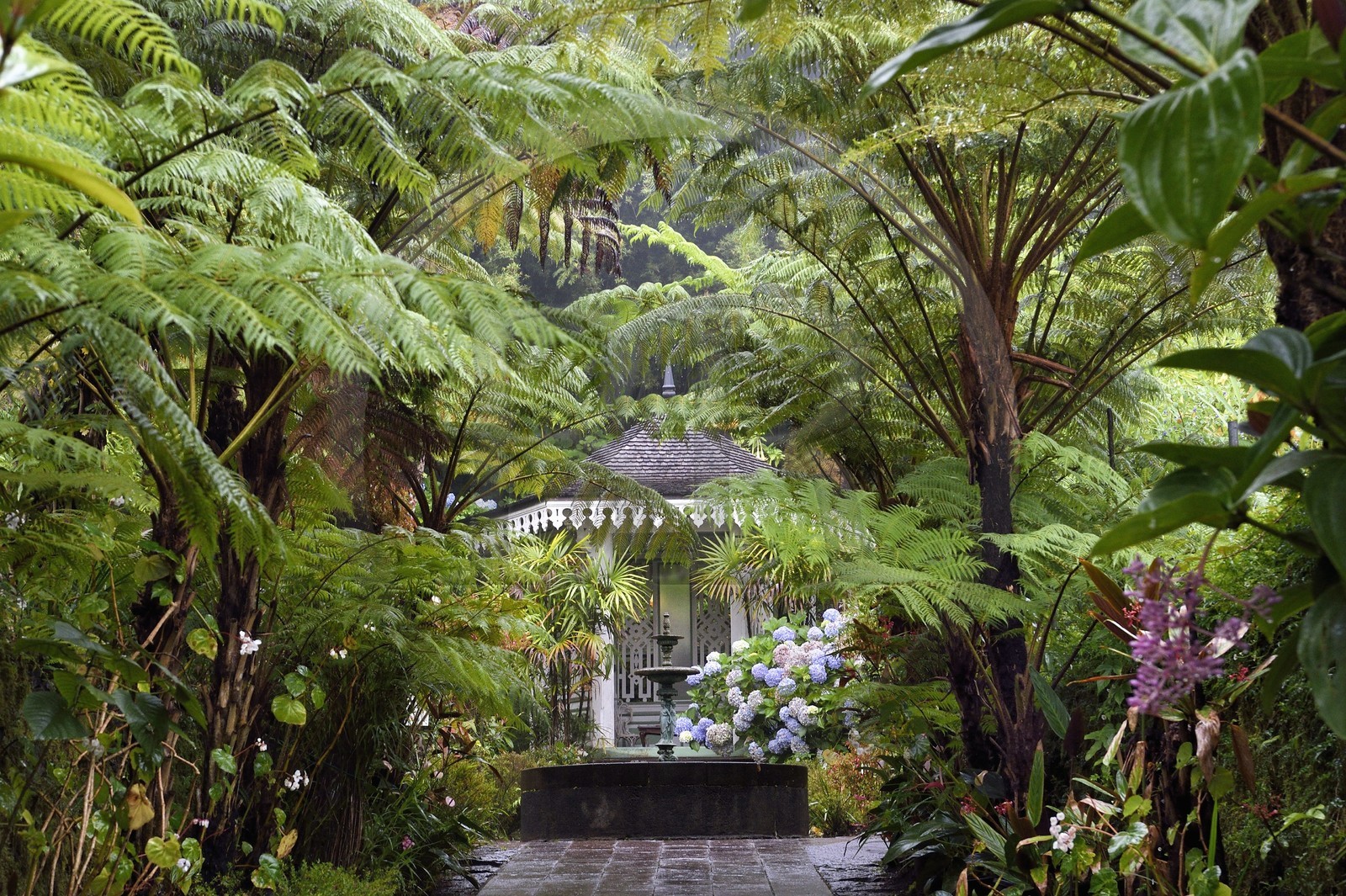 France, Ile de la Reunion, Cirque de Salazie, classé Patrimoine Mondial de l'UNESCO, Hell-Bourg, labellisé les Plus Beaux Villages de France, gloriette et fougères arborescentes dans les luxuriant jardins de la Villa ou Maison Folio