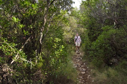 Croatie, Dalmatie, cote dalmate, Ile de Mljet, randonneur sur un sentier du Parc national de Mljet