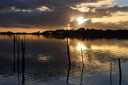 France, Haute Corse, the pond of Biguglia (Stagnu di Chiurlinu) at dawn, nature reserve of Corsica (RNC)