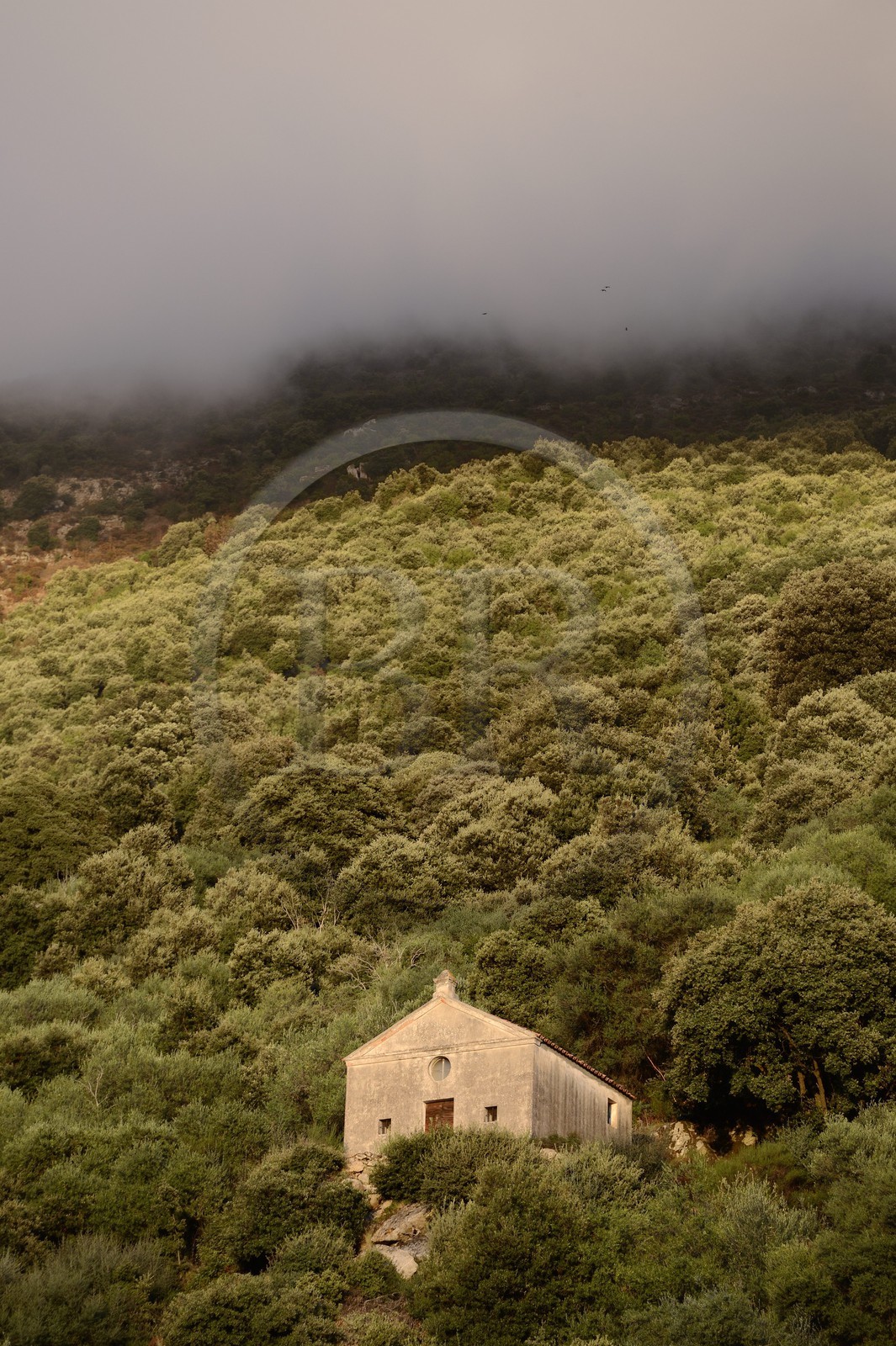 France, Corse-du-Sud (2A), région de Sartène, village de Fozzano