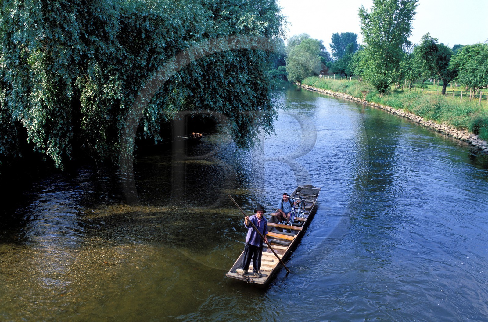 France, Bas-Rhin (67), région d'Ehnwihr, le batelier du Ried, P. Unterstock transportant un cycliste à Ebermünster
