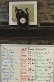 Irlande, Co. Kildare, Maynooth, harras de Moyglare (Stud), liste des Etalons présent dans le harras