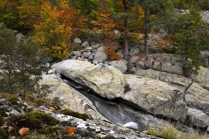 France, Haute-Corse (2B), Vivario, GR 20, étape entre le refuge de l'Onda et Vizzavona, foret de Vizzavona, les cascades des anglais, groupe de cascades dans la vallée de l'Agnone