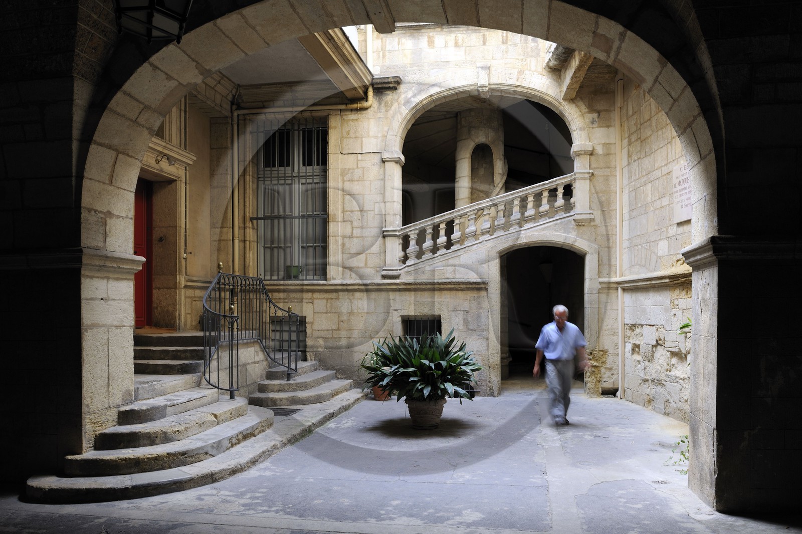 France, Hérault (34), Montpellier, centre historique, l'Ecusson, hôtel particulier Montcalm, escalier à vis évidé