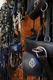 France, Saône et Loire (71), Cluny, cellerie du Haras national avec le H impérial