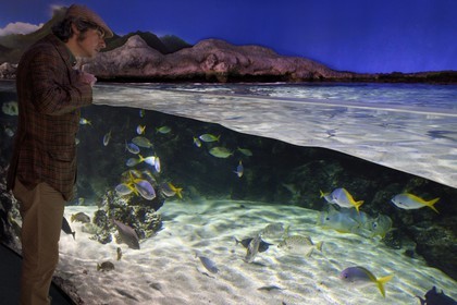 France, Charente-Maritime (17), La Rochelle, Aquarium La Rochelle, Mention obligatoire, zone indo-pacifique, le lagon