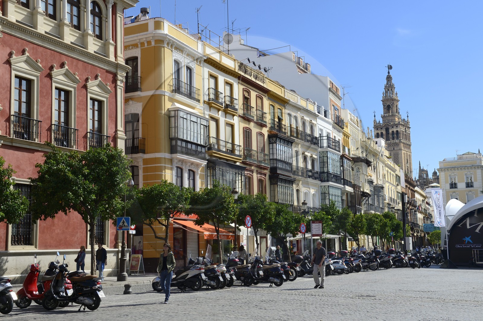 Espagne, Andalousie, Séville, la plaza San Francisco et la Giralda en arrière plan