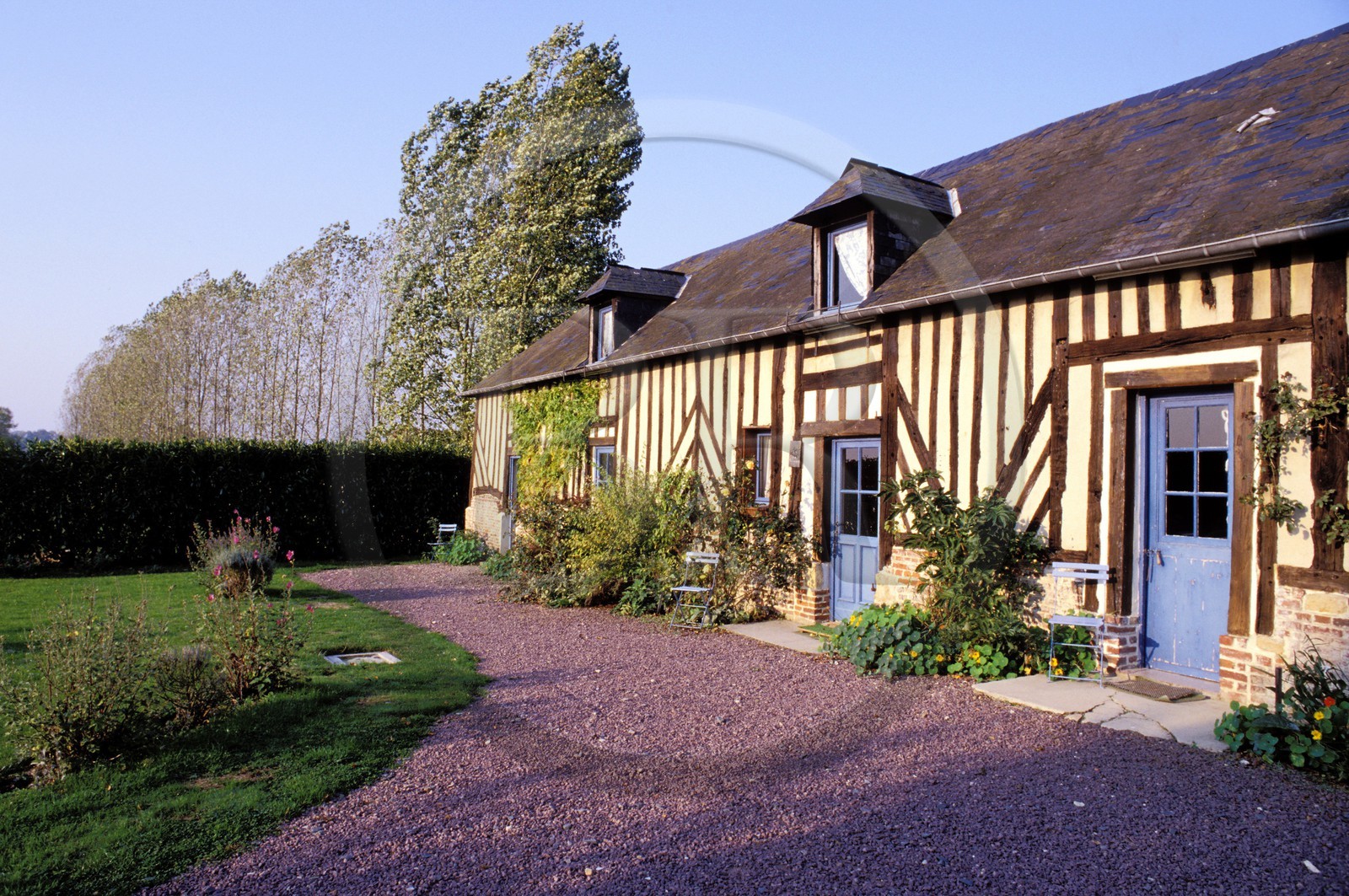 France, Calvados (14), Livaye, la ferme-auberge Les Pommiers