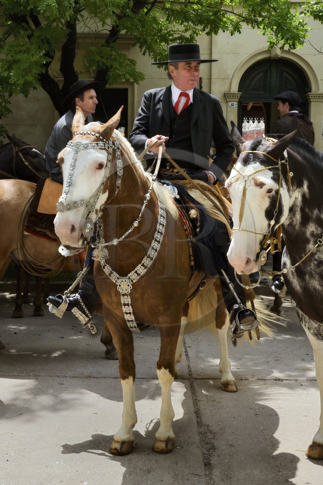 Argentina, Buenos Aires Province, San Antonio de Areco, Tradition Day festival (Dia de Tradicion), silversmith work on a silver harness used for special occasions by an estanciero (gaucho who owns a ranch)