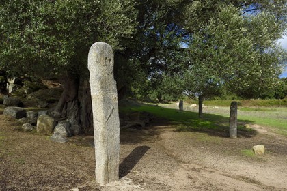 France, Corse-du-Sud (2A), site préhistorique de Filitosa, statue menhir représentant des personnages armés