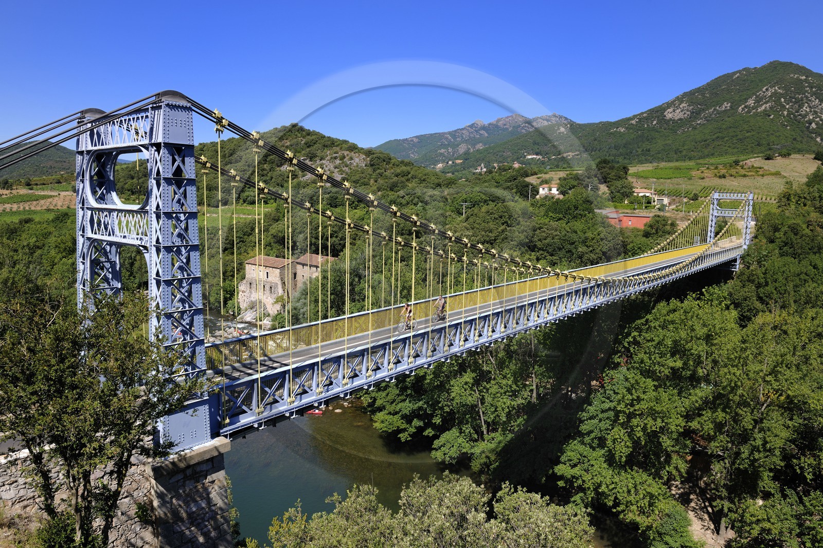 France, Hérault (34), vallée de l' Orb, le pont suspendu au dessus de la rivière Orb au moulin de Travassac à Mons la Trivalle