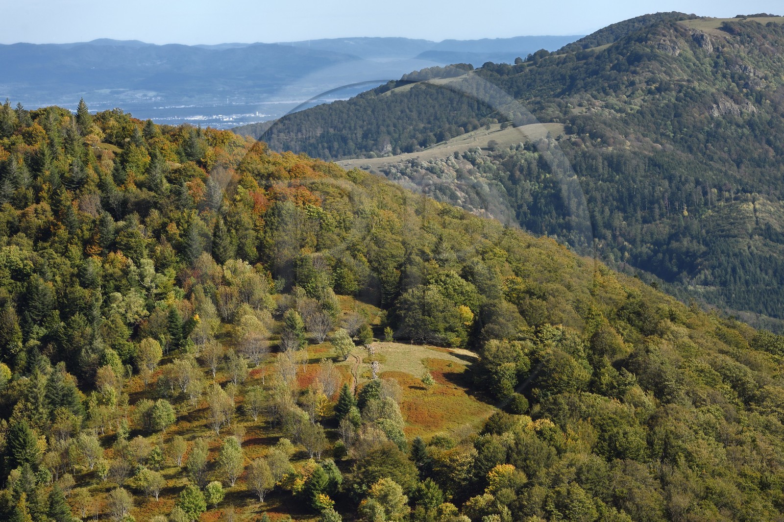 France, Haut Rhin, Ballons des Vosges Regional Natural Park, Rimbach pres Masevaux, small meadow called chaume (extensive altitude grazing) over the Lac des Perches
