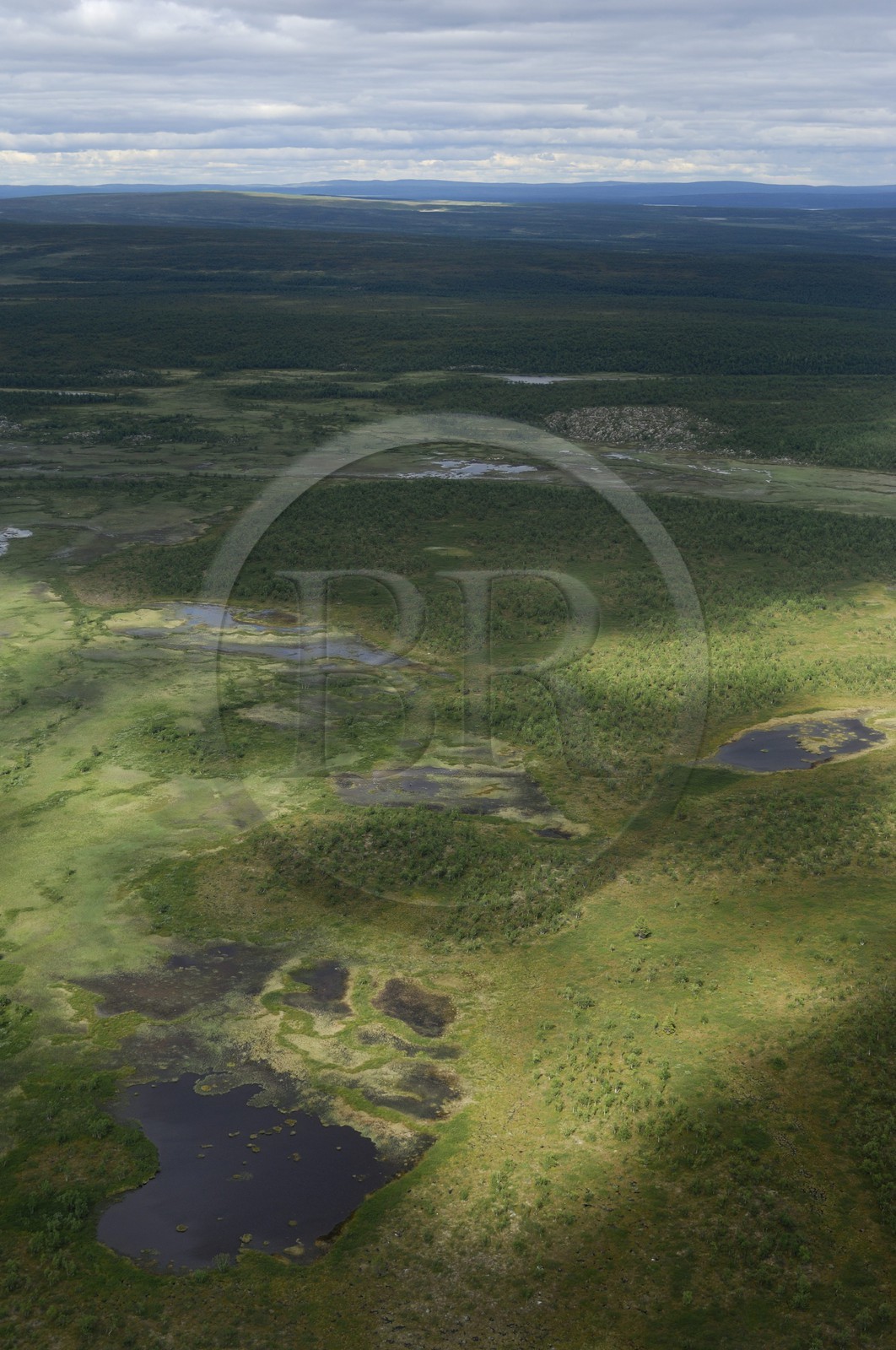 Sweden, Lapland, Norrbotten County landscape north of Lulea (aerial view)