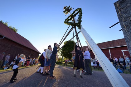Sweden, Dalarna County, Leksand area, Midsummer celebrations in the tiny hamlet of Hjulbäck, uprising the maypole