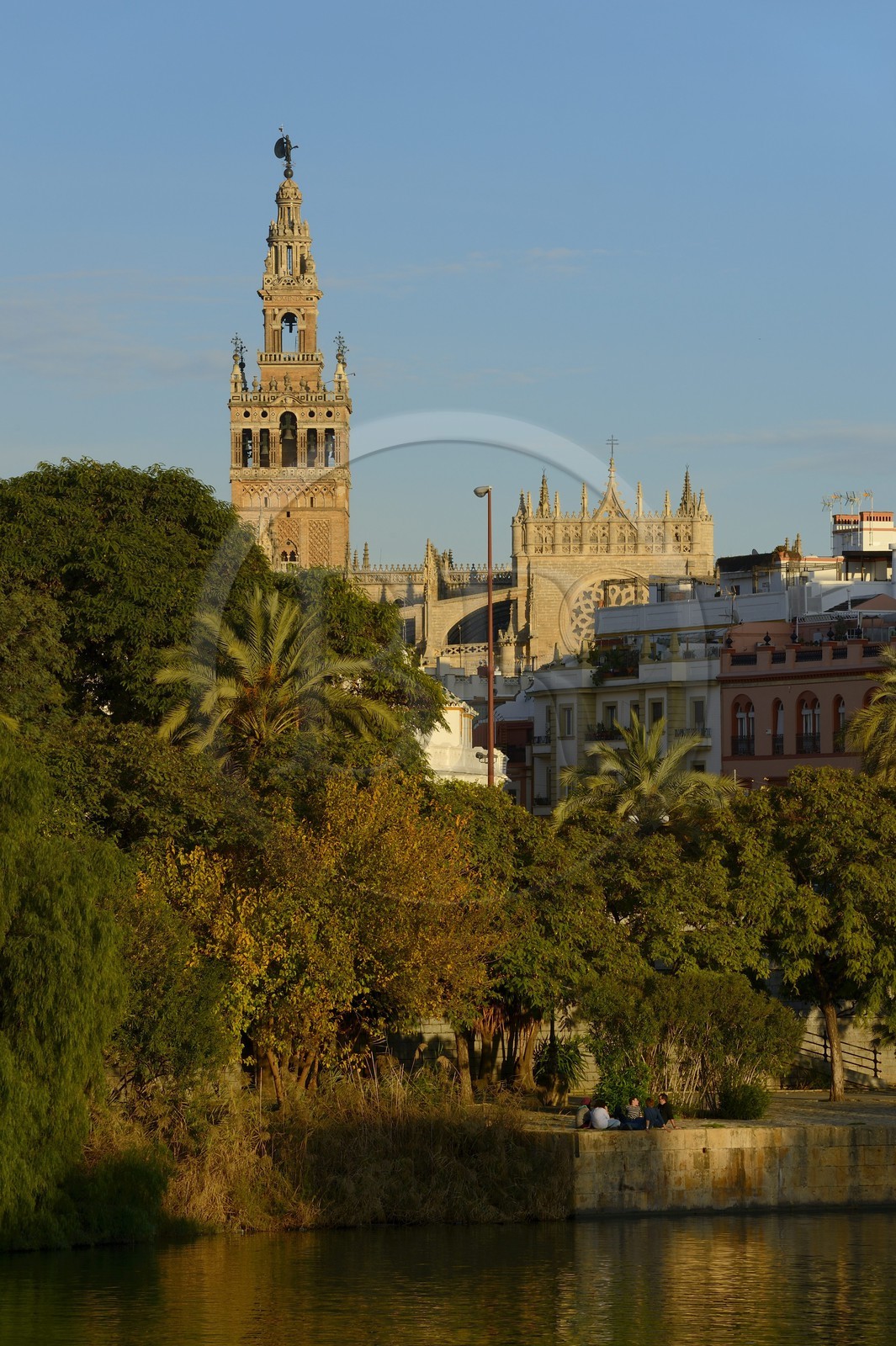 Espagne, Andalousie, Séville, en bordure du fleuve Guadalquivir, La Giralda
