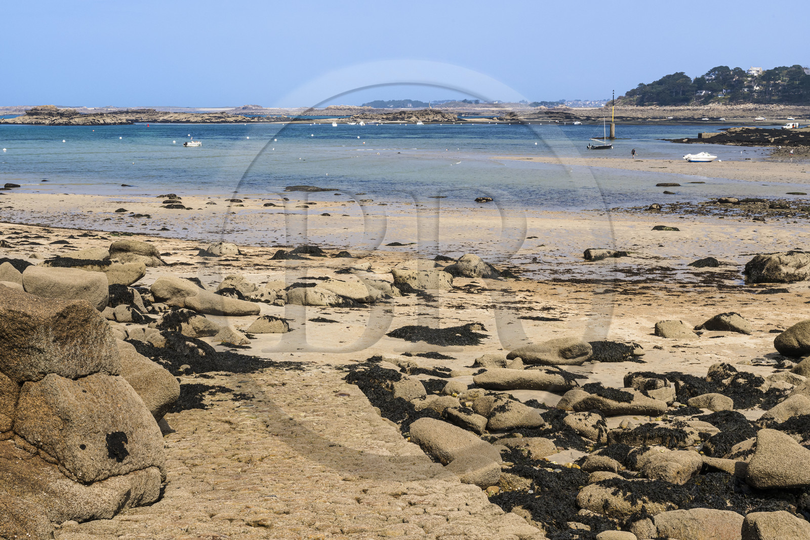 France, Côtes-d'Armor (22), Côte de Granit Rose, Trébeurden, Ile Millau, l'ile est uniquement accessible à pied et à marée basse depuis la pointe du Castel