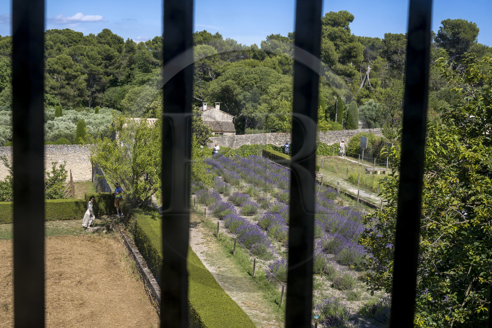 France, Bouches-du-Rhône (13), Parc Naturel Régional des Alpilles, Saint-Rémy-de-Provence, monastère Saint-Paul-de-Mausole, l'asile psychiatrique historique la Maison de santé Saint-Paul où Van Gogh fût interné en 1889-1890, la vue depuis la chambre de Van Gogh