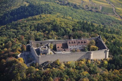France, Haut Rhin, Hohlandsbourg Castle in the Vosges Massif on the heights of Eguisheim, with its surrounding walls (aerial view)