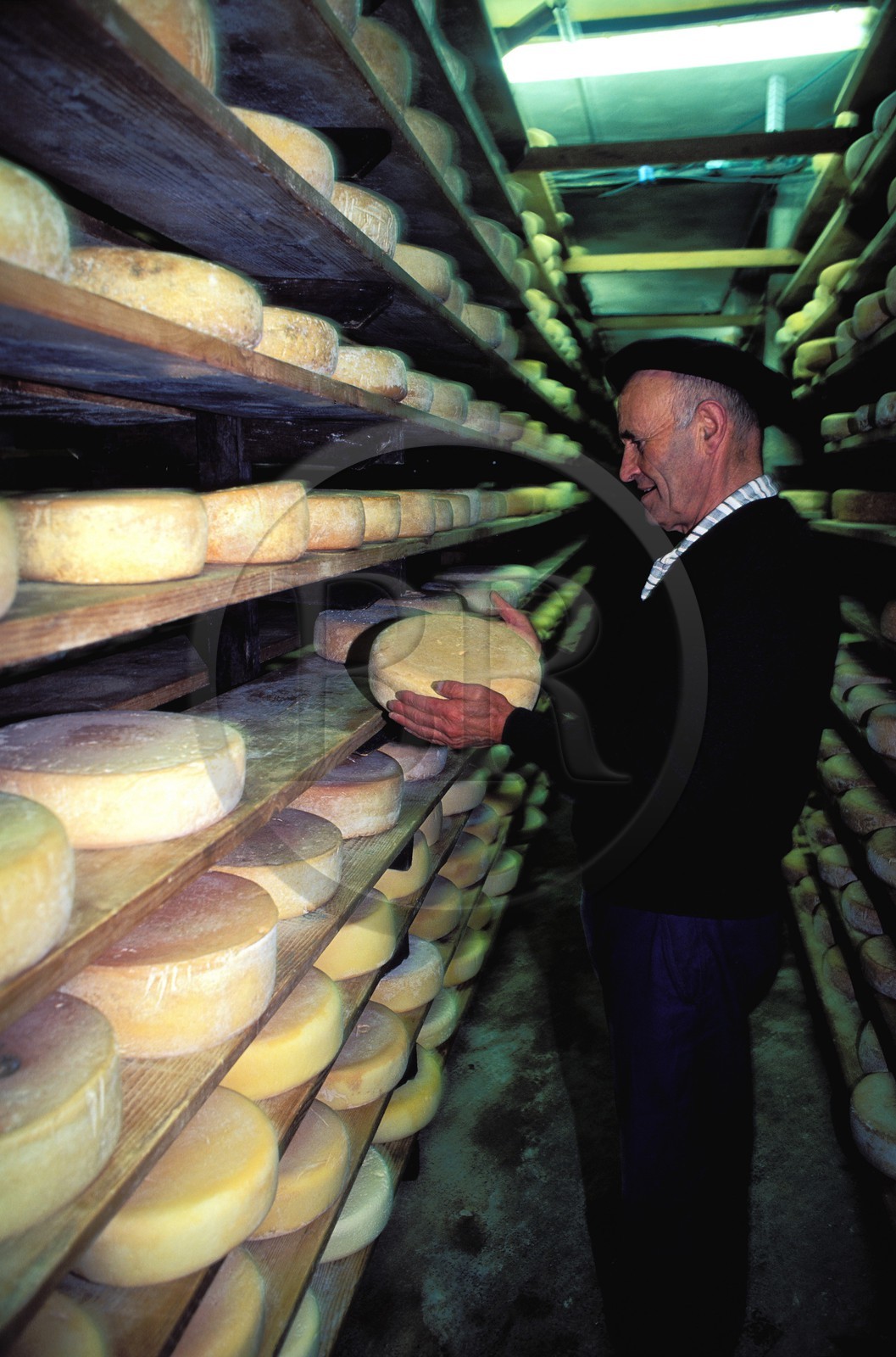 France, Hautes Pyrenees, col of Soulor, Mr Montauban in Lou Pastou cheese cave, salting room