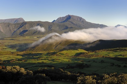 France, île de la Réunion, le Piton des Neiges, classé Patrimoine Mondial de l'UNESCO, au-delà de la Plaine des Palmistes