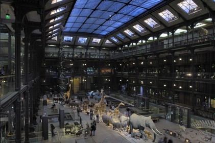 France, Paris (75), Museum d'Histoire Naturelle, Grand Galerie de l'Evolution