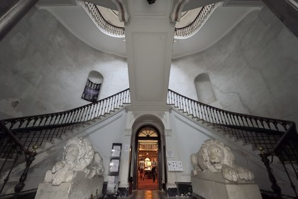 France, Corse-du-Sud (2A), Ajaccio, le grand escalier de la bibliothèque Fesch dans le palais Fesch