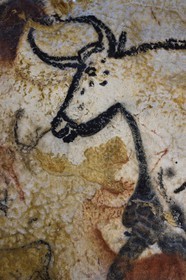 France, Dordogne, Montignac, the Atelier des Fac-Similés du Périgord (Perigord's Facsimile Workshop AFSP) specialised in mineral reproduction of prehistoric painted walls using “stone veil” patented technique and in charge of the Lascaux cave’s walls faithfull reconstitution, Aurochs, compulsory mention Atelier des Fac-Similés du Perigord