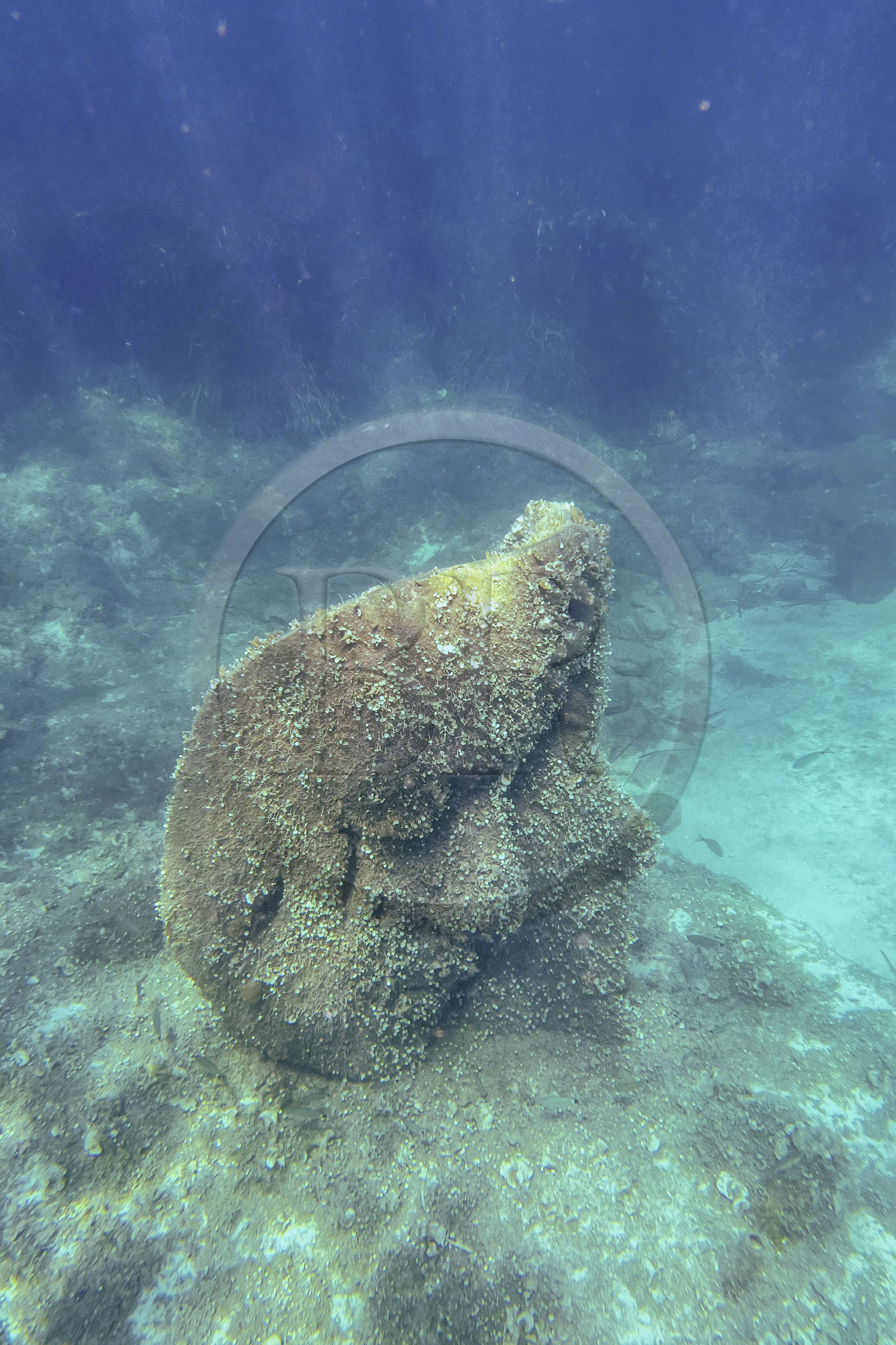 France, Alpes-Maritimes, Cannes, Lerins Islands, Sainte-Marguerite island, the underwater ecomuseum made up of monumental statues by the artist Jason deCaires Taylor, molded according to the faces of 6 inhabitants of Cannes and submerged at a distance ranging from 84 to 132 meters from the shore for a depth of 3 to 5 meters