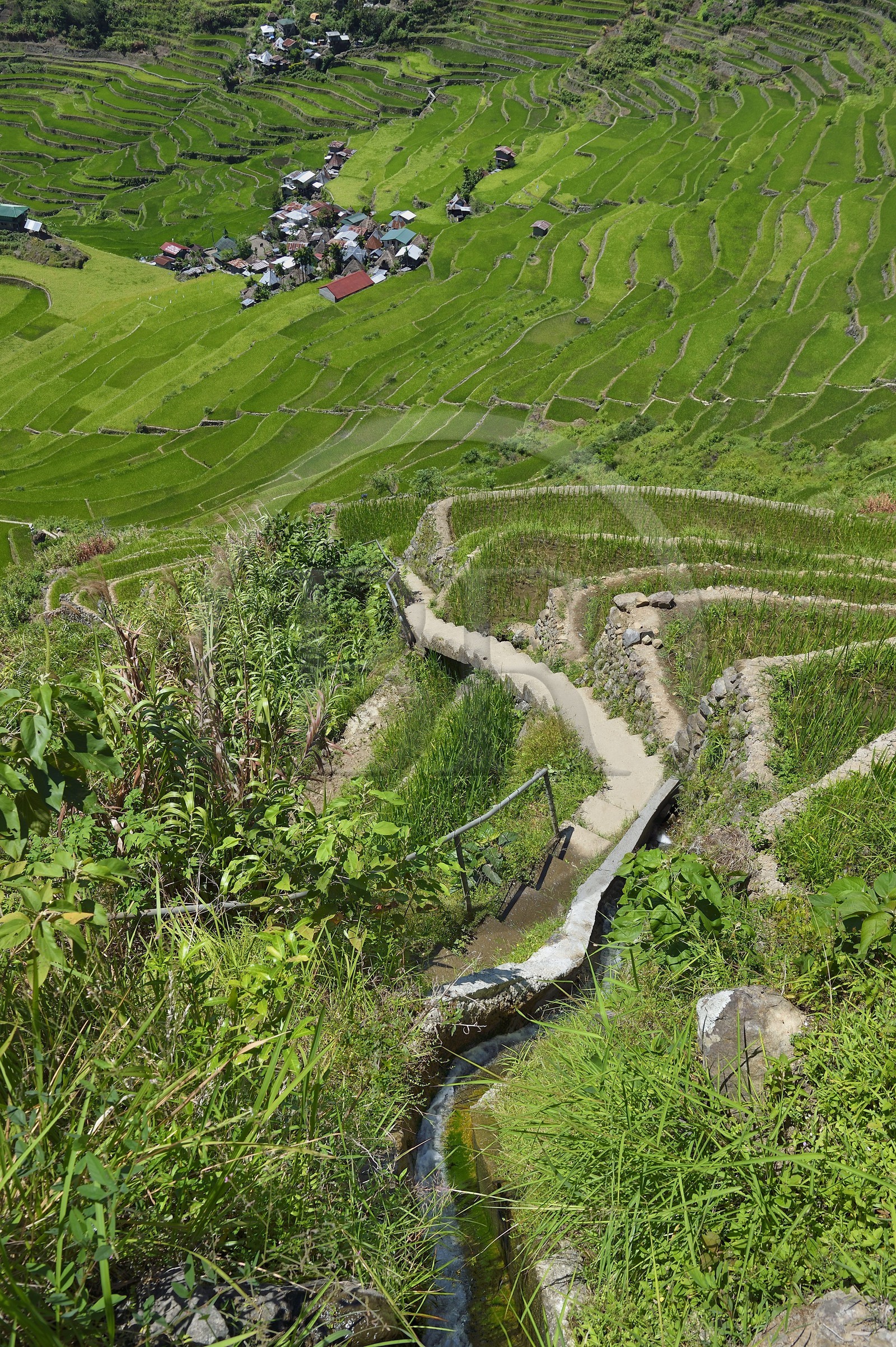 Philippines, Ifugao province, stairs of the path that winds through the Banaue rice terraces around the village of Batad, listed as World Heritage by UNESCO