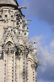 France, Paris (75), île de la Cité, la cathédrale Notre-Dame, les gargouilles et les chimères observent la ville
