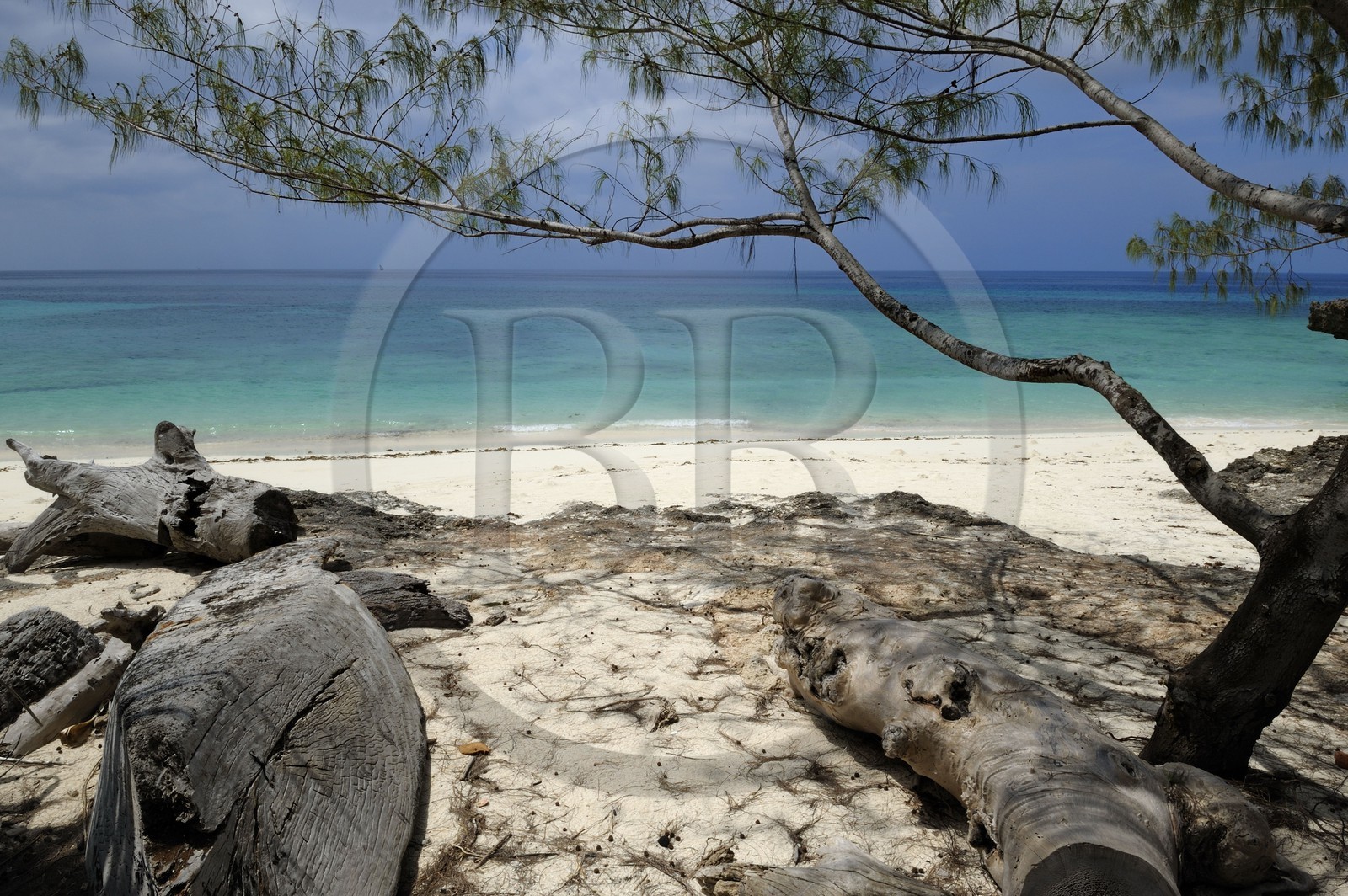 Tanzanie, archipel de Zanzibar, île de Unguja (Zanzibar), côte ouest, plage de la réserve naturelle de Chumbe Island Coral Park à marée basse