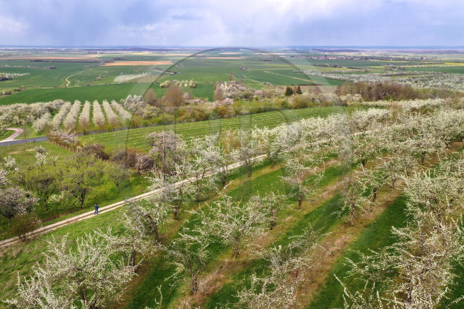 France, Meuse (55), Parc r
