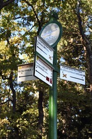 France, Bas-Rhin (67), Mont Saint-Odile, randonnée autours du Mur Païen, vestige d'un mur d'enceinte probablement de l'époque mérovingienne d'une longueur totale de onze kilomètres