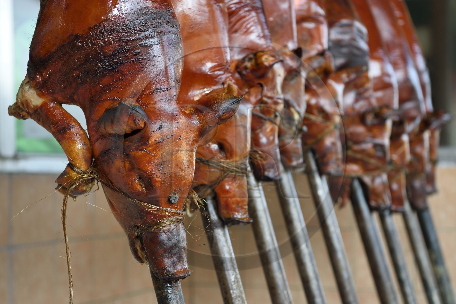 Philippines, Ile de Luzon, Manille, quartier La Loma, cochon de lait roti à la broche (lechon)