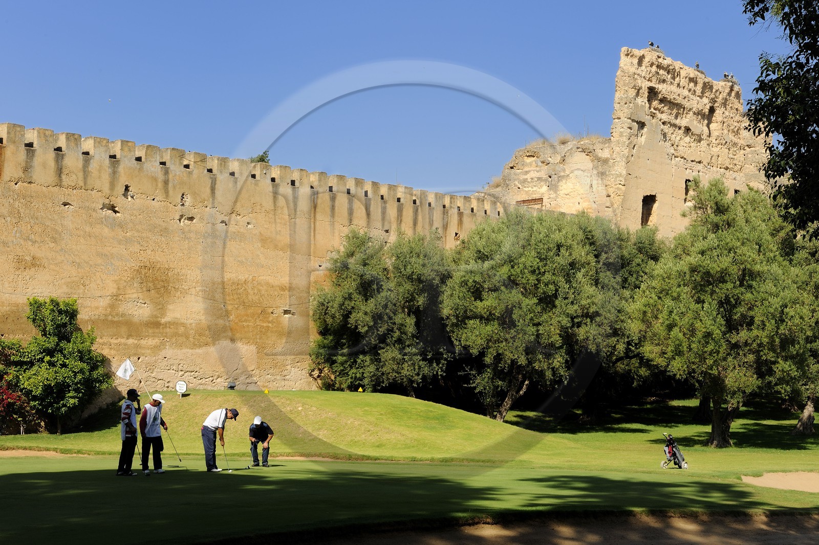 Maroc, Meknès, ville impériale, médina classée Patrimoine Mondial de l' UNESCO, le golf Royal dans les anciens jardins du palais