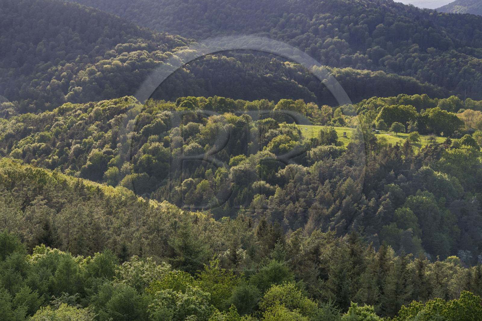 France, Bas-Rhin (67), Parc naturel régional des Vosges du Nord, Lembach, foret domaniale de Steinbach et la frontière franco-allemande au creux de la vallée
