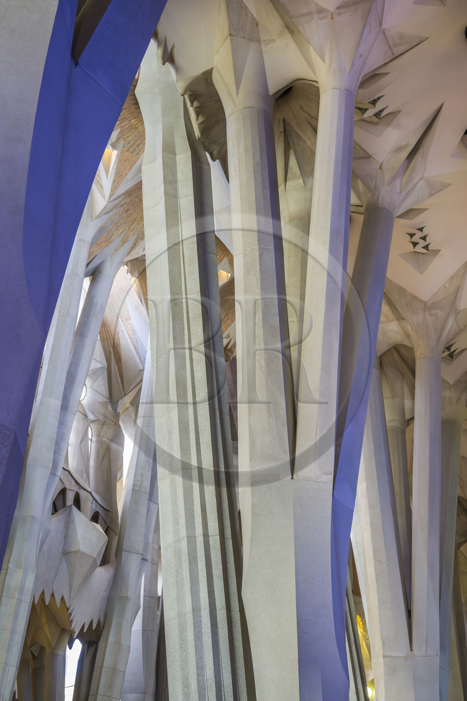 Espagne, Catalogne, Barcelone, quartier de l'Eixample, basilique de la Sagrada Familia de l'architecte du modernisme catalan Antoni Gaudi classée Patrimoine Mondial de l'UNESCO, au dessus du noeud, les colonnes du vaisseau central (nef) se subdivisent en branches tel un arbre