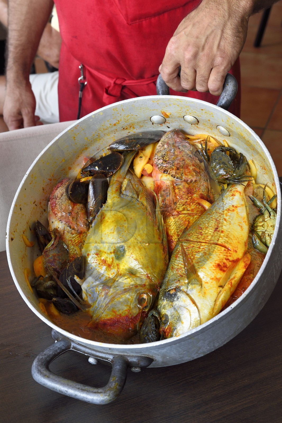 France, Var, le Rayol-Canadel-sur-Mer, Maurin des Maures Restaurant, the fish for bouillabaisse