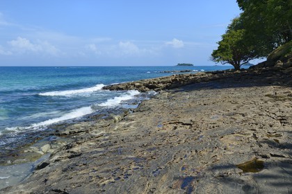 Panama, Pearl Islands, Isla Viveros