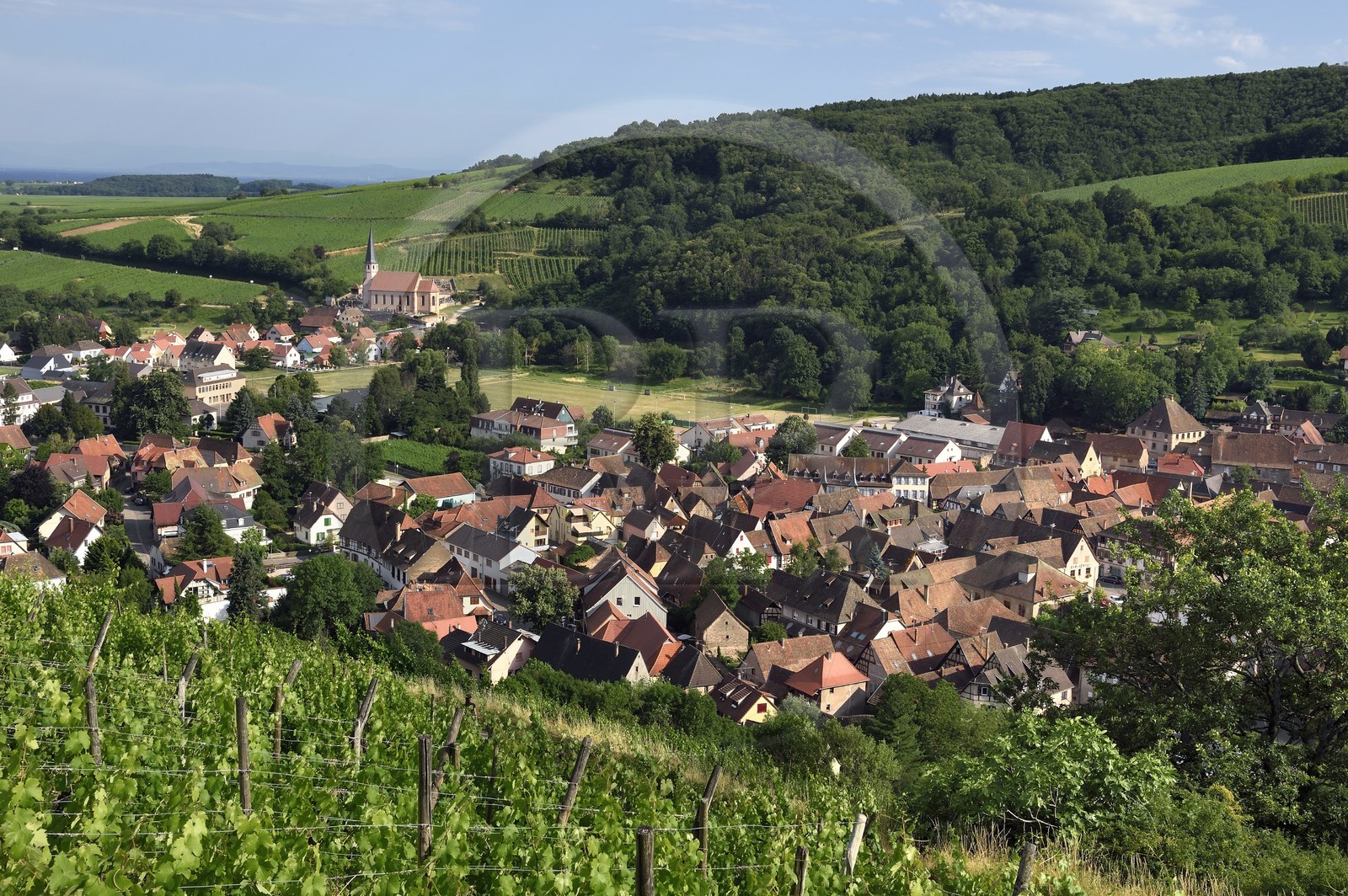 France, Bas-Rhin (67), Route des vins d'Alsace, Andlau, point de vue sur le village et la chapelle Saint-André en bordure du vignoble