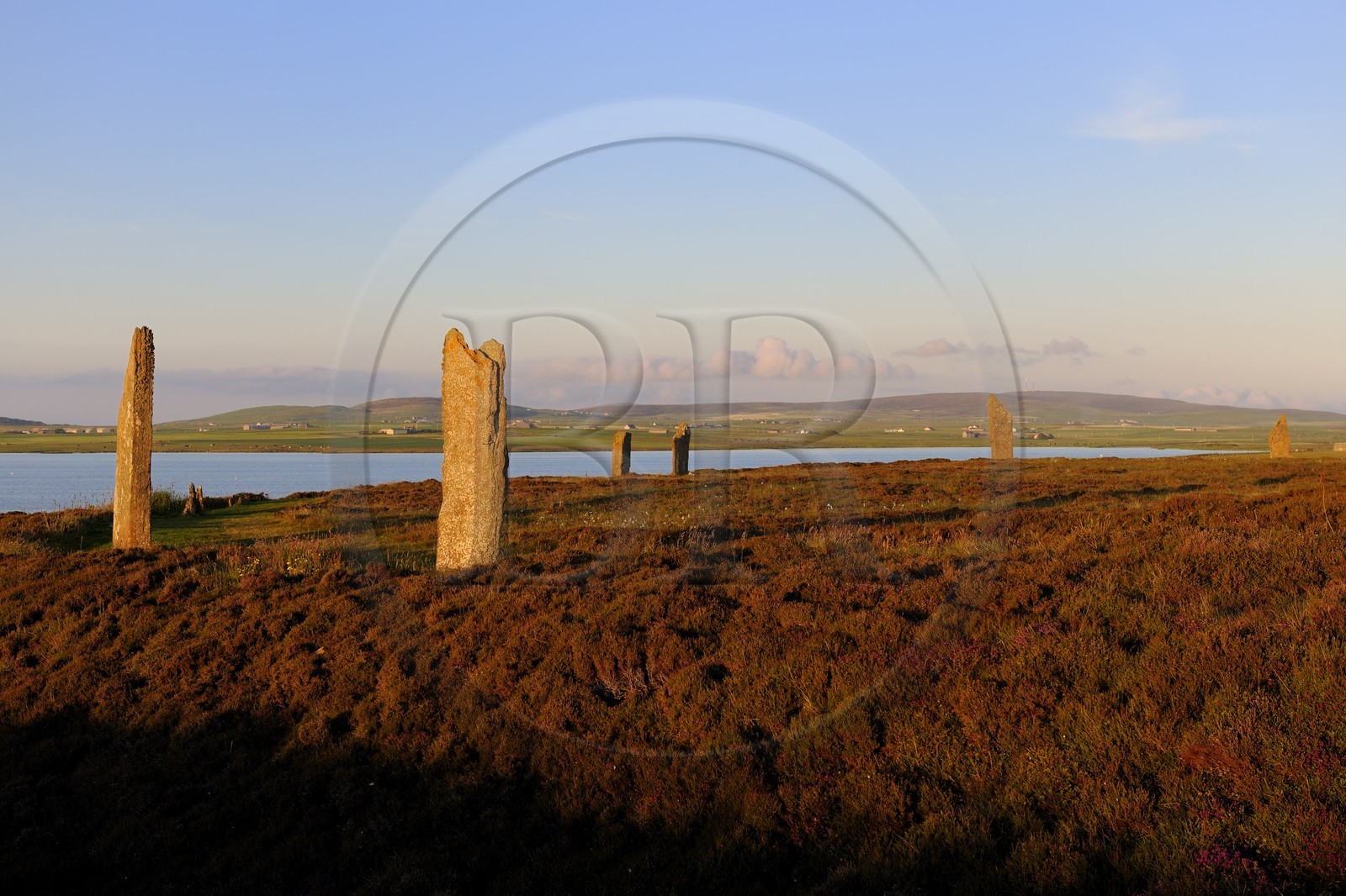 Royaume-Uni, Ecosse, Iles Orcades, Ile de Mainland, au bord du Loch of Stenness, cercle de pierres levées du Ring of Brodgar, classées Patrimoine Mondial de l' UNESCO