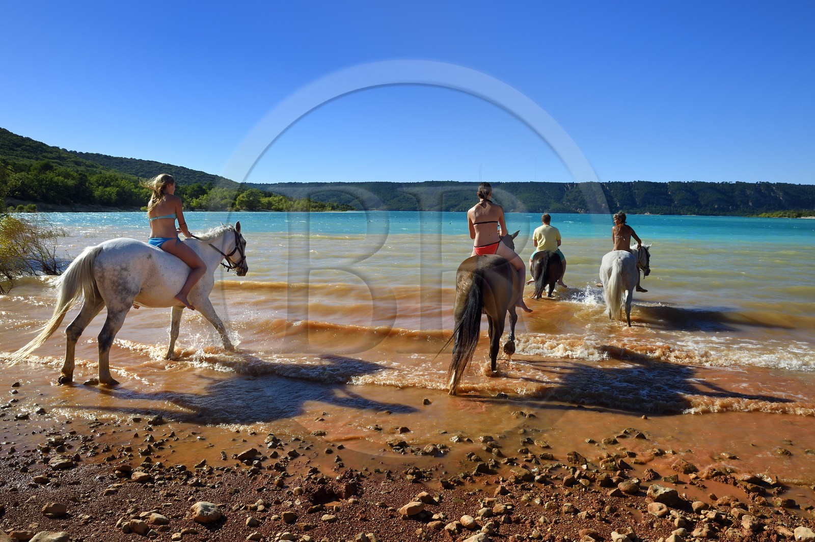 France, Var (83), Parc Naturel Régional du Verdon, lac de Sainte Croix, randonnée équestre avec Verdon Equitation